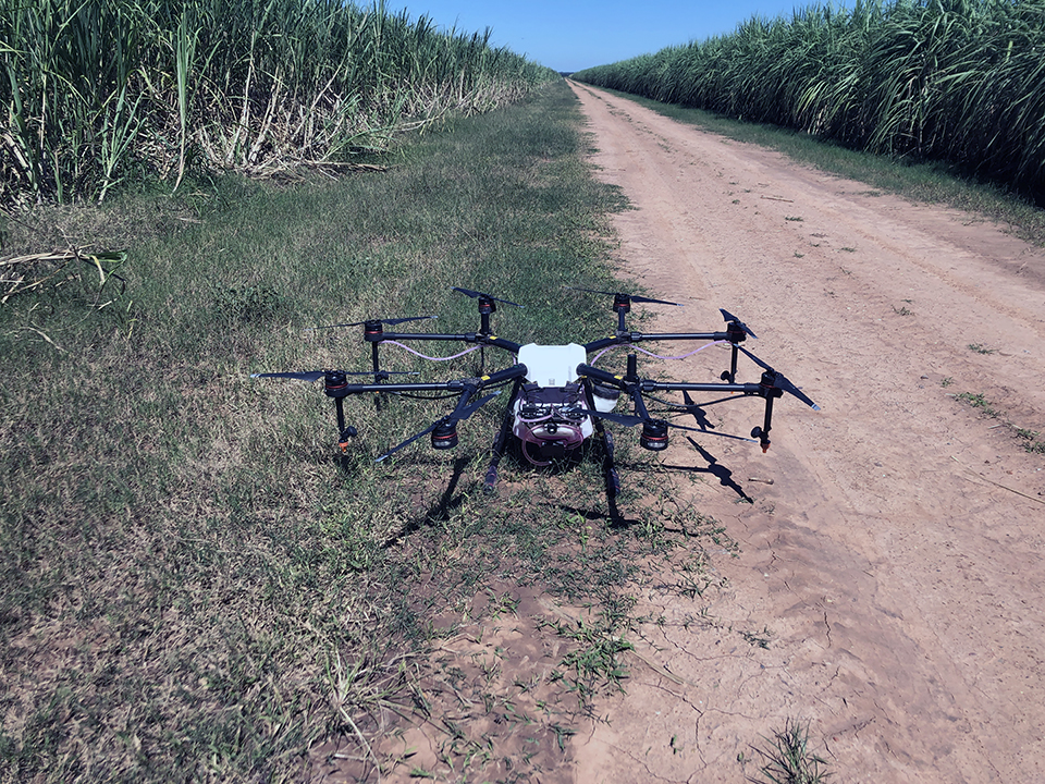Drone on dirt path near field.